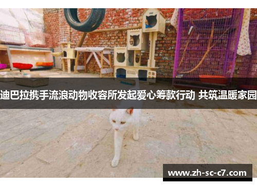 迪巴拉携手流浪动物收容所发起爱心筹款行动 共筑温暖家园